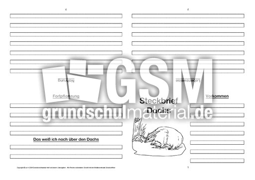 Dachs-Faltbuch-vierseitig-3.pdf
